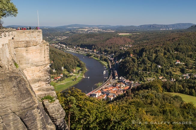 Азалия кенигштайн фото и описание