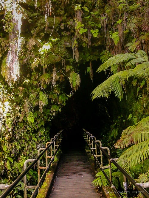 Entrance to the Lava tube