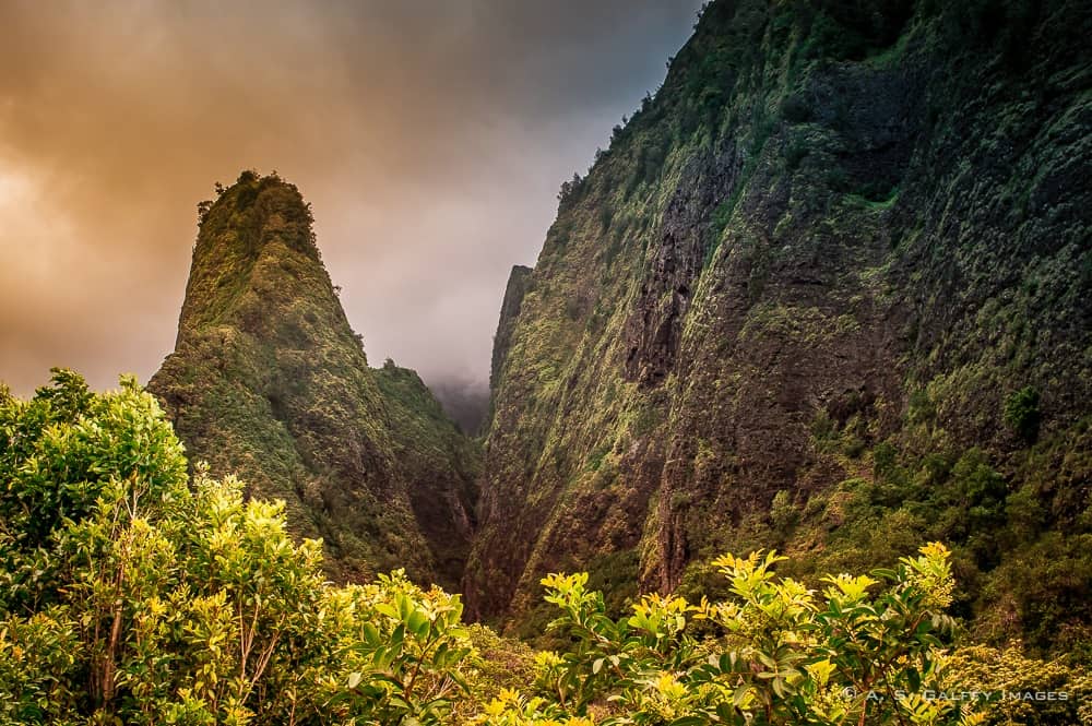 Image depicting Iao Valley, one of the top 10 reasons to fall in love with Maui Image depicting Iao Valley, one of the top 10 reasons to fall in love with Maui