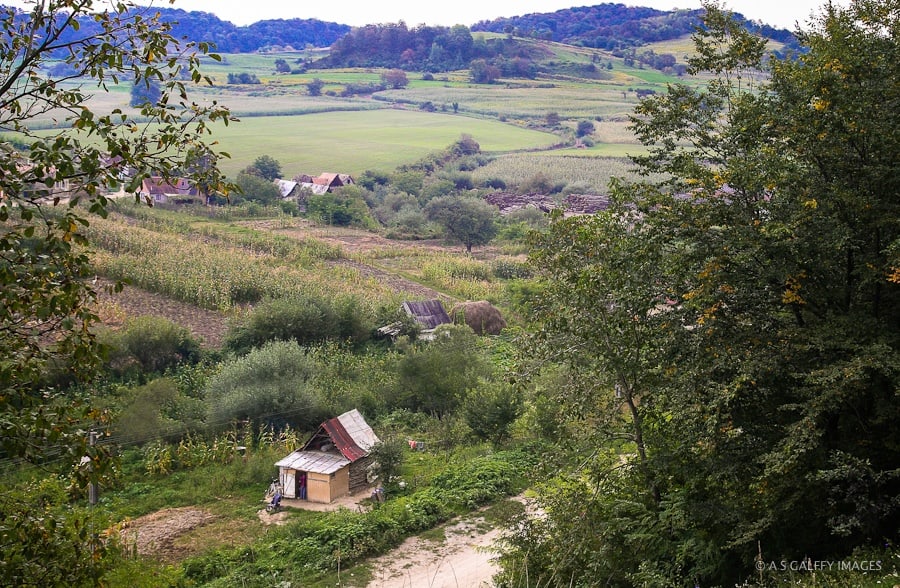 peisaj-2