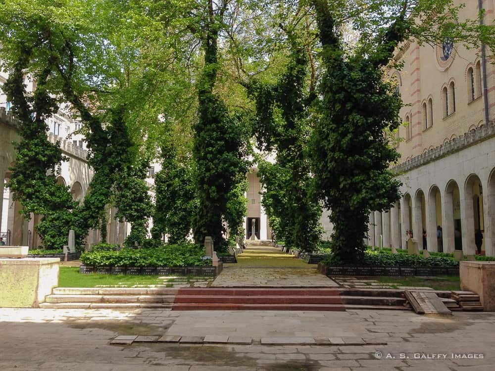 The Synagogue backyard