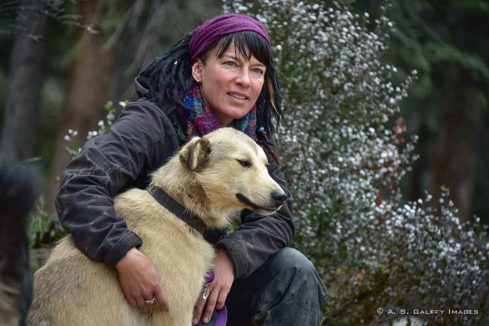 Iditarod sled dog with his trainer