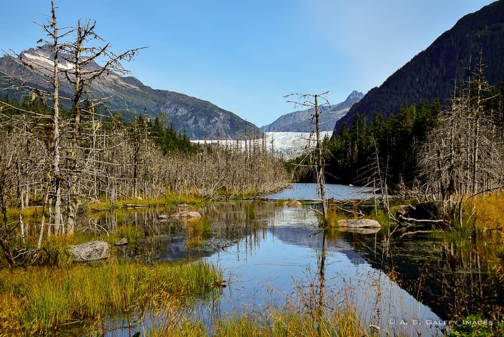 mendenhall-3