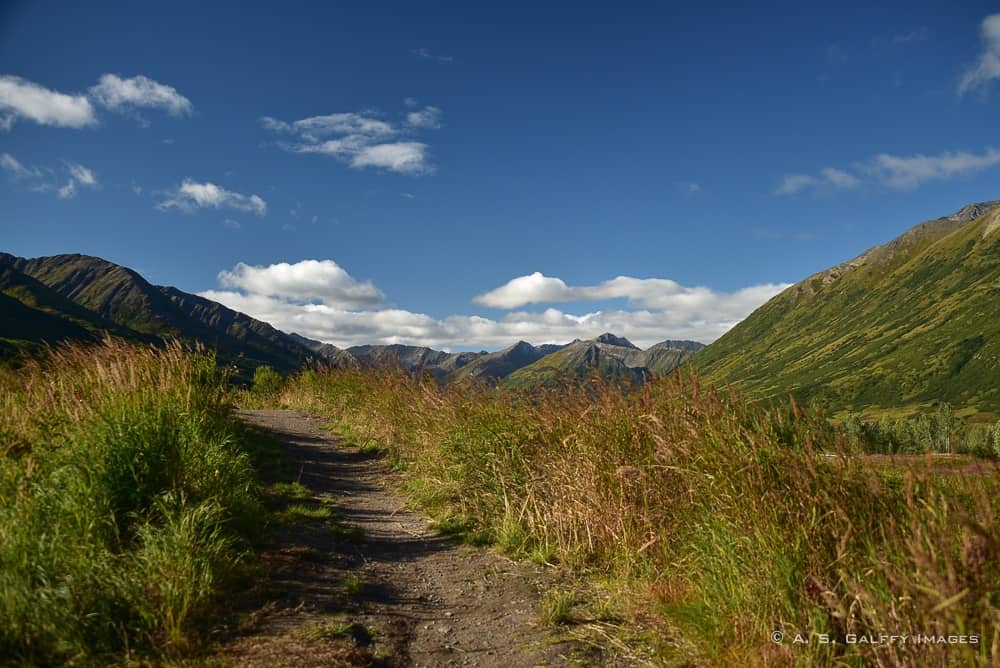 Anchorage to Denali scenery