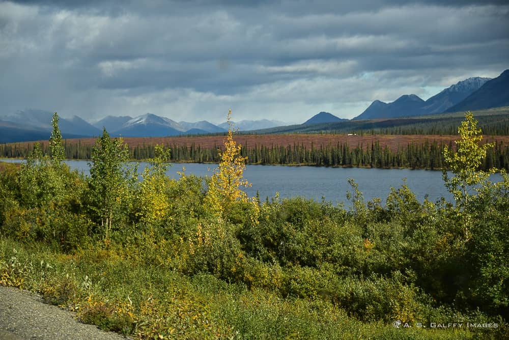 View of Denali