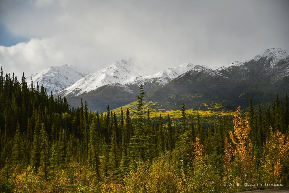 Denali