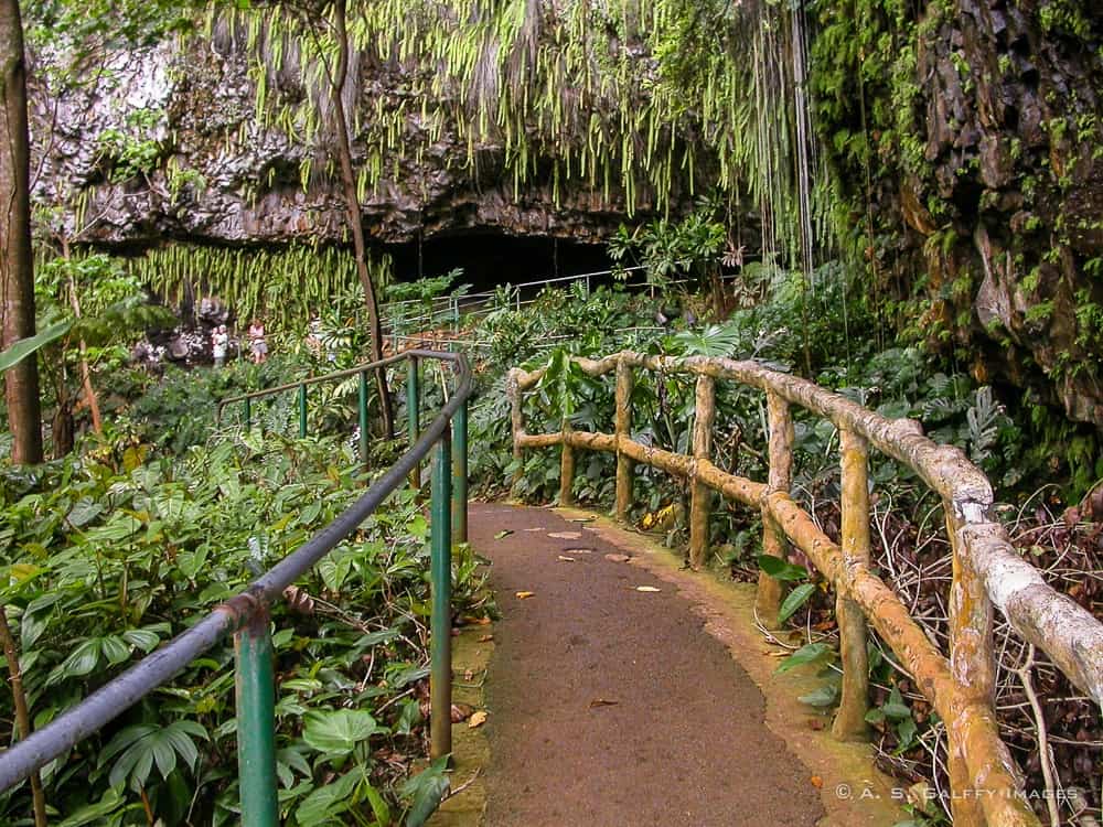 Fern Grotto in Kauai Fern Grotto in Kauai