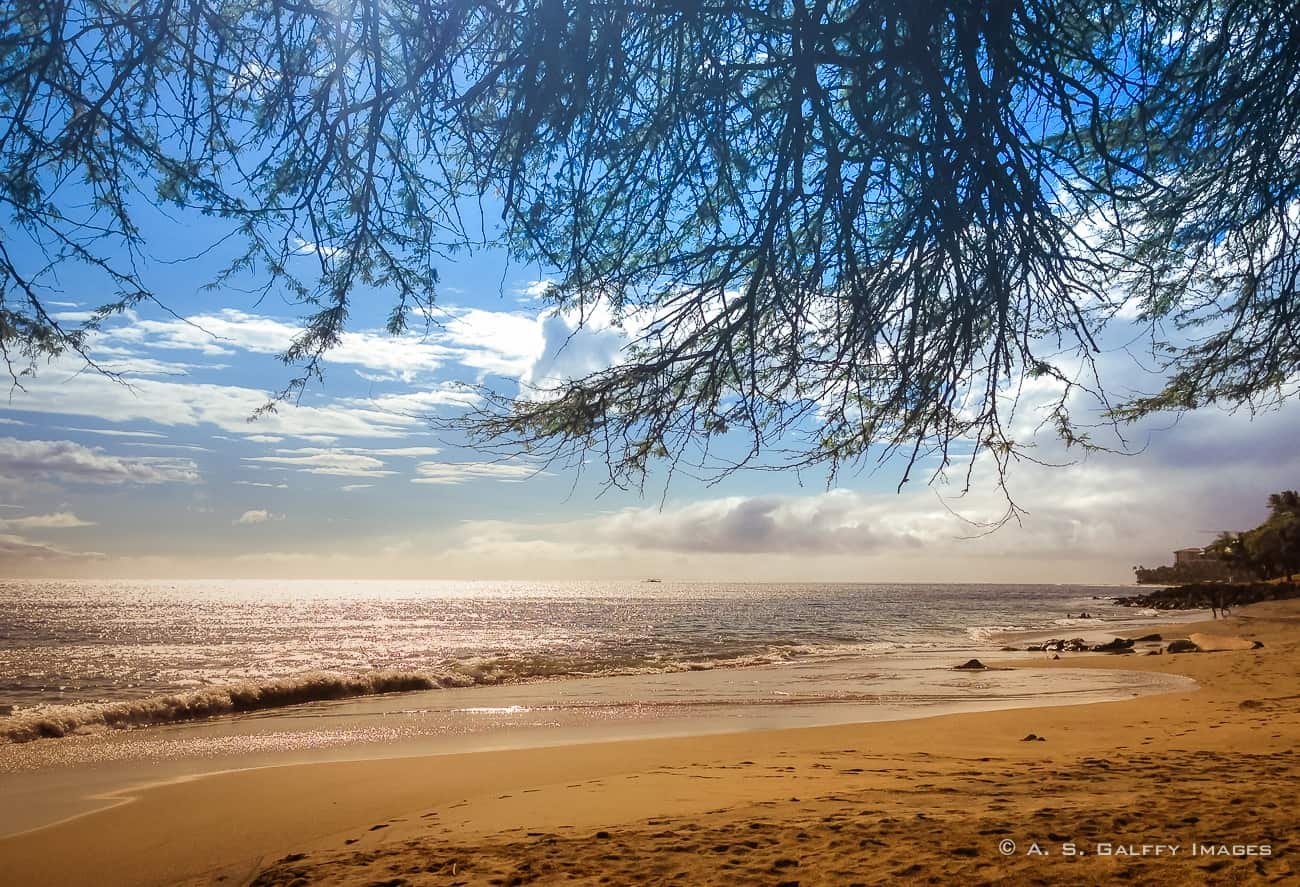 Lahaina Beach