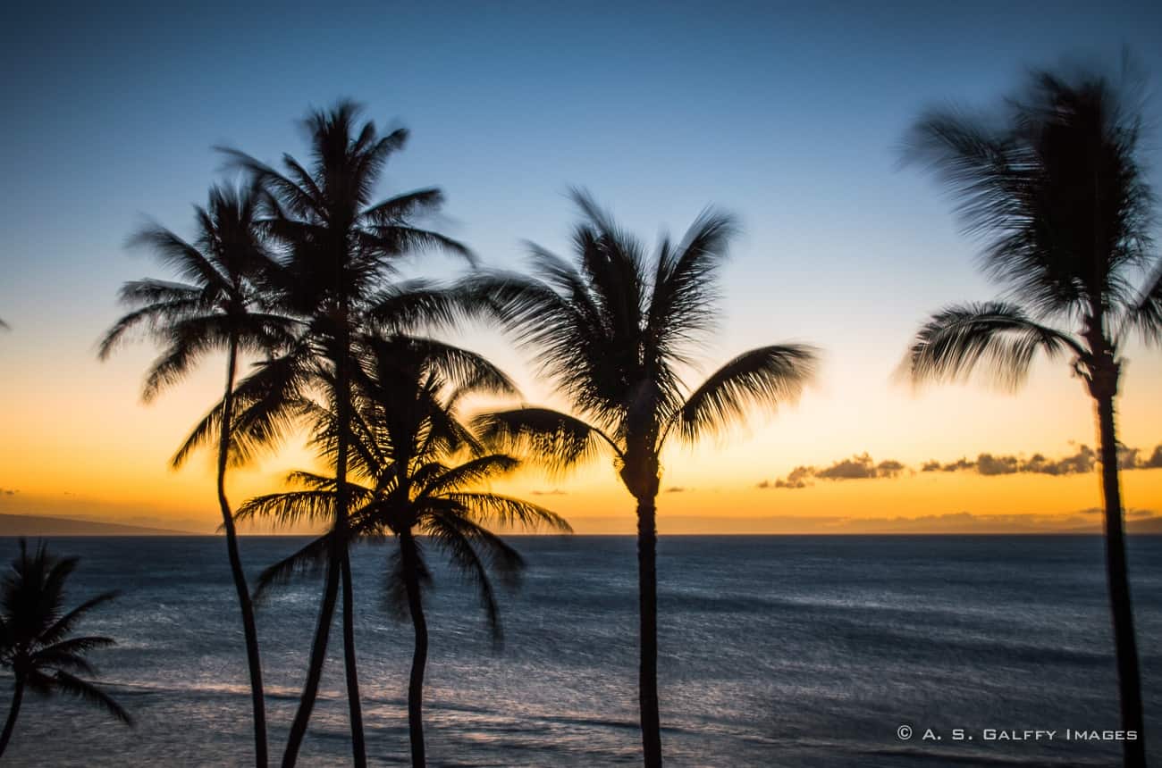 Maui Beach