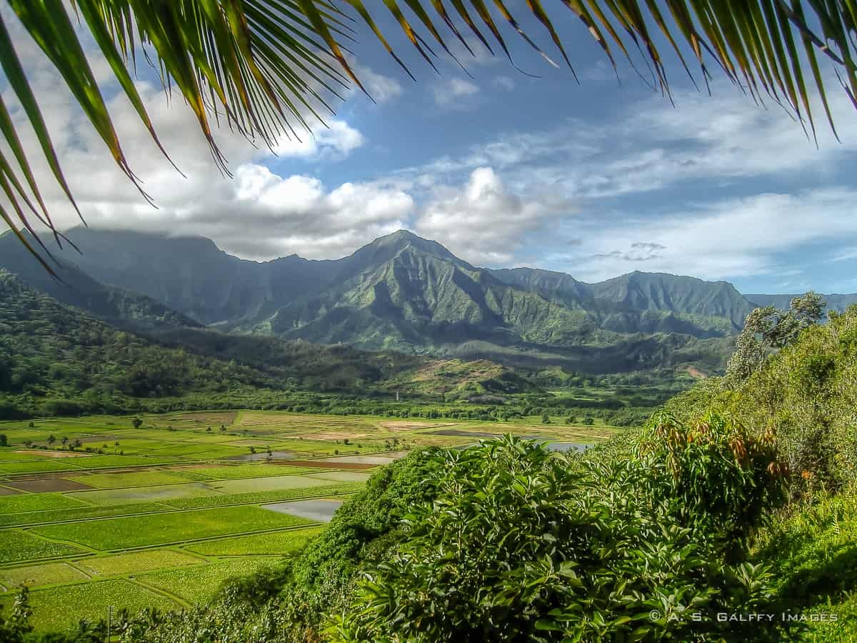 Hawaii photos: Hanalei Overlook
