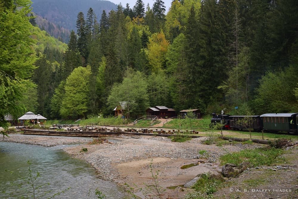 Landscape along the Mocanita railroad