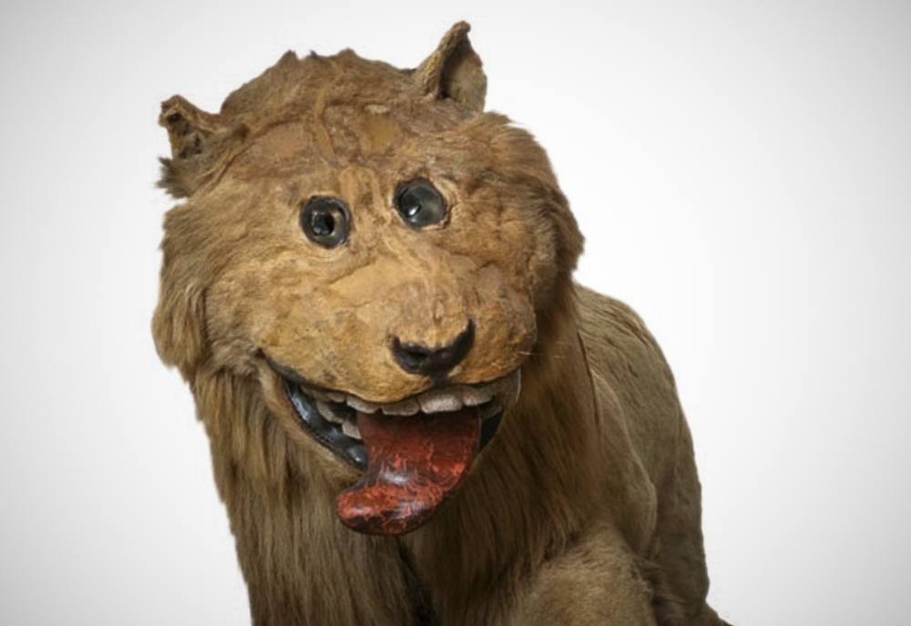 the stuffed lion of Gripsholm Castle