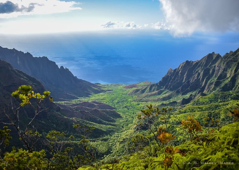 View of Koke'e State Park in Kauai View of Koke'e State Park in Kauai