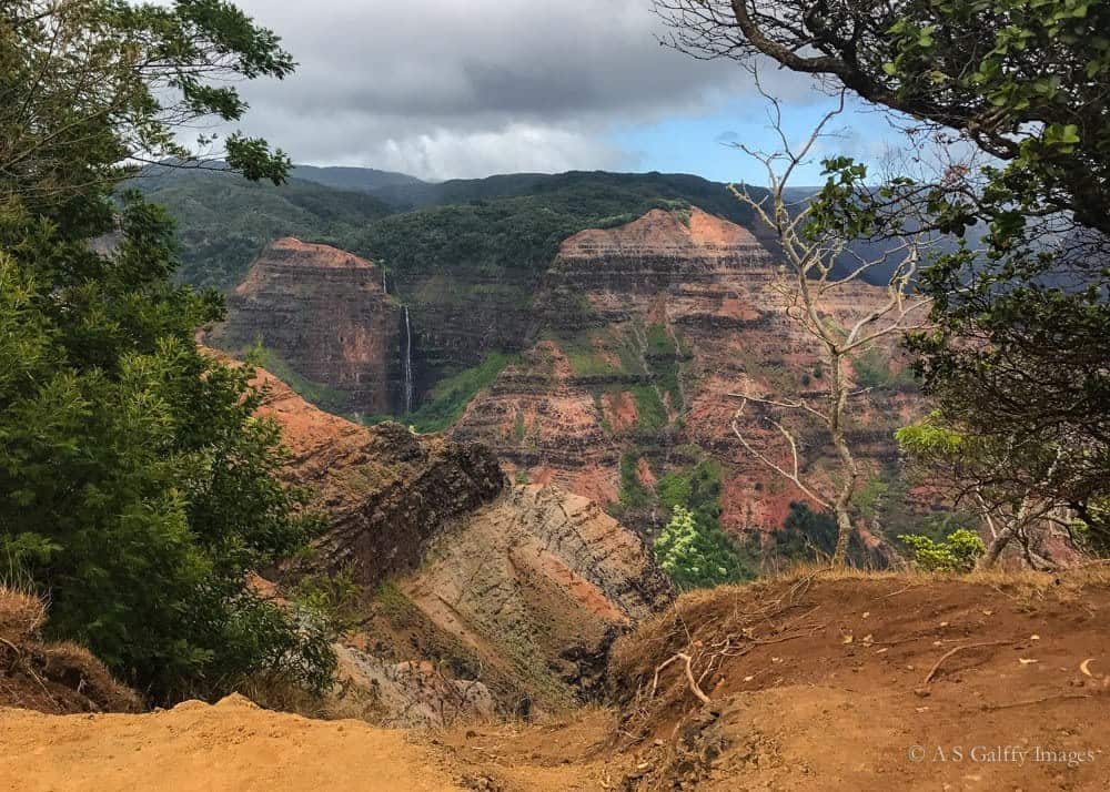 View of the Waymea Canyon lookout View of the Waimea Canyon lookout