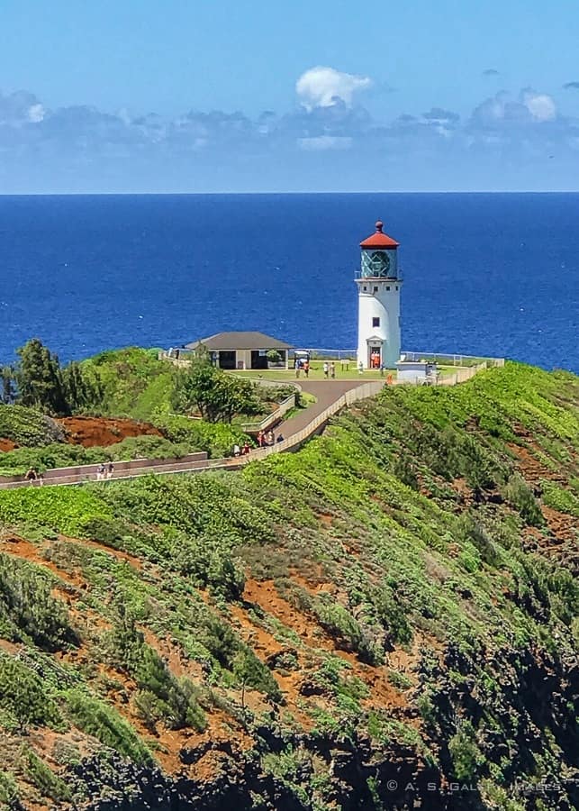 View of the Kilauea Point Lighthouse View of the Kilauea Point Lighthouse