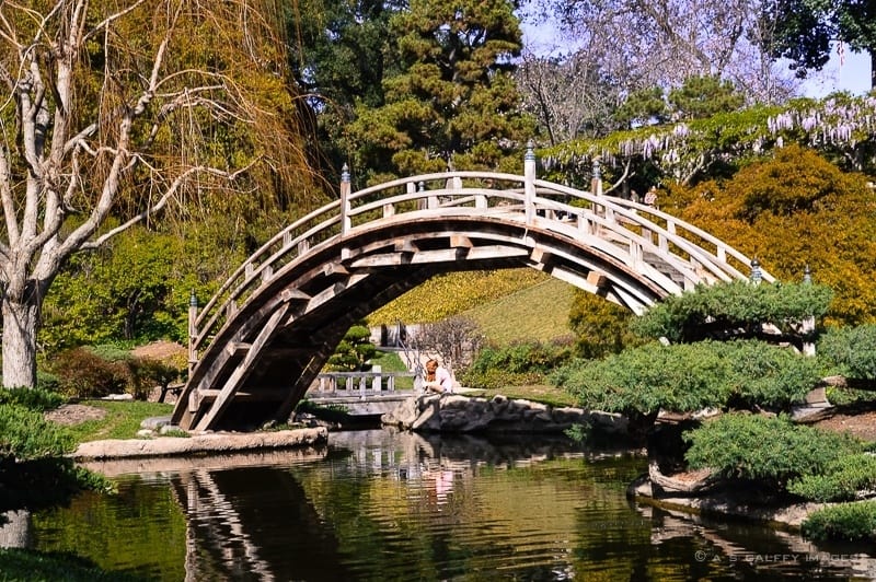 day trip to Huntington Library and Gardens