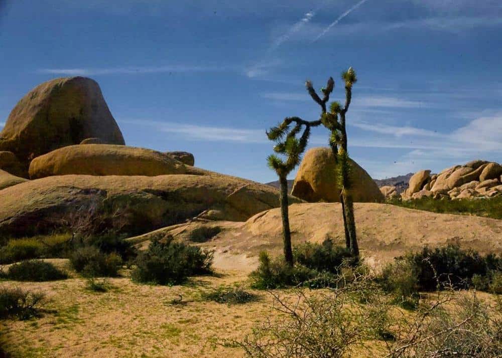 Joshua Tree National Park, weekend getaway from Los Angeles