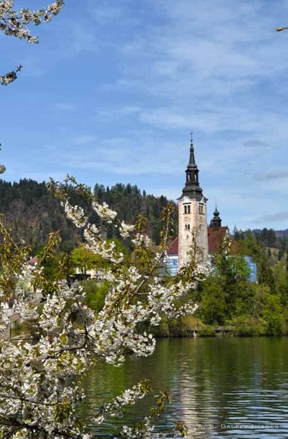 view of the Church of the Assumption on Bled Island