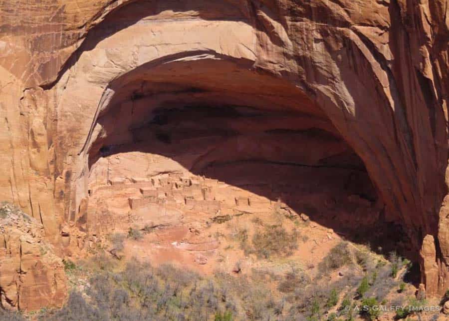Navajo National Monument