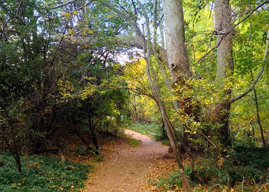 Red Rock Crossing trail