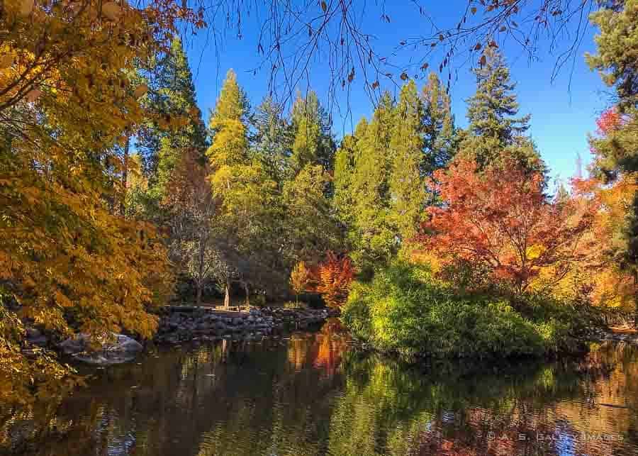 Fall Foliage in Southern Oregon When and Where to See It