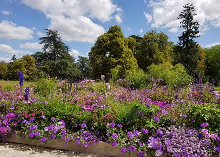 the gardens at Château de Chaumont