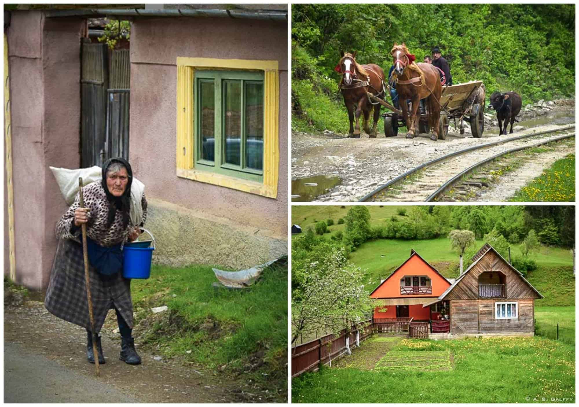 rural life in Viseul de Sus village