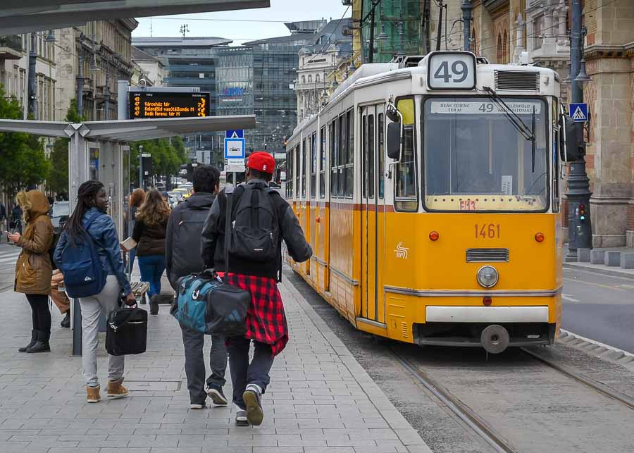 trams in Budapest